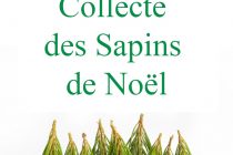 Collecte des Sapins (du 05 au 14/01/24)