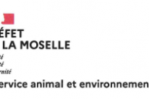 Information Levée partielle de confinement
