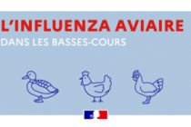 Influenza aviaire