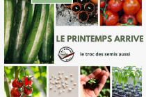 Troc de semis (Avril)