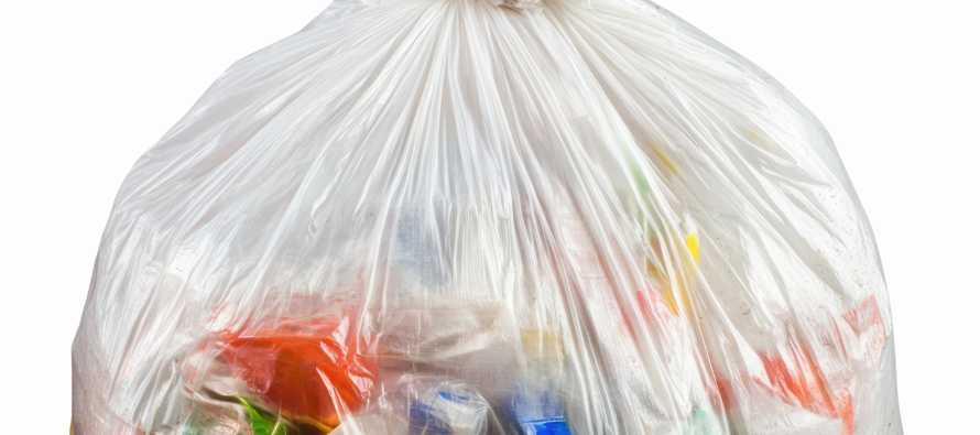 Respect de notre environnement : un grand merci à nos services techniques et rappel des règles de civisme